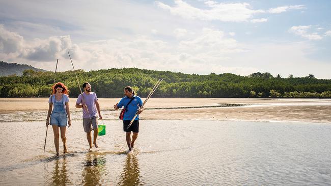 Cairns: Full-day Daintree Dreaming Tour With Traditional Aboriginal 