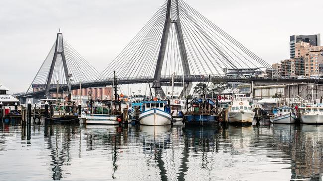 One-Hour Sydney Fish Market Sunset Tour with Glass of Wine