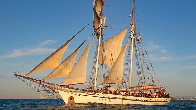 Three-Hour Relaxing Twilight Sail Aboard Tall Ship with Gourmet