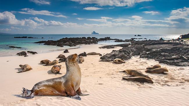 Ecuador & Galapagos Island Highlights with Expert Naturalists ...