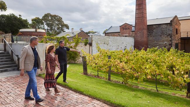 McLaren Vale Hardy s Wines Tintara Estate 90 Minute Guided Tour