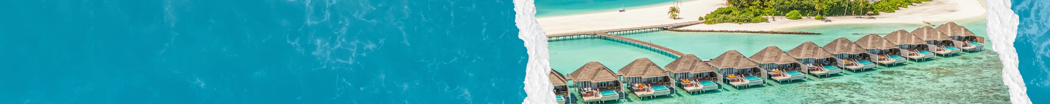 Take Me To The Tropics