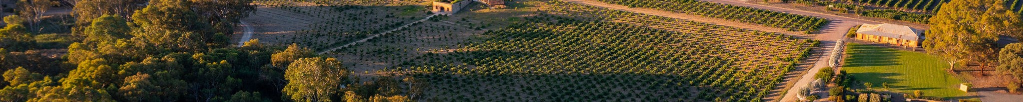 Australia's Ultimate Winery Experiences