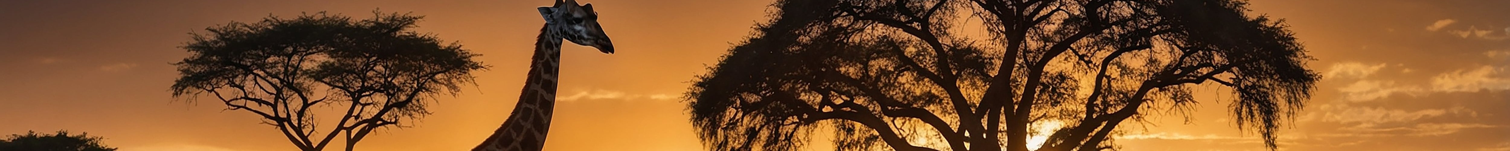 Golf Holidays in South Africa