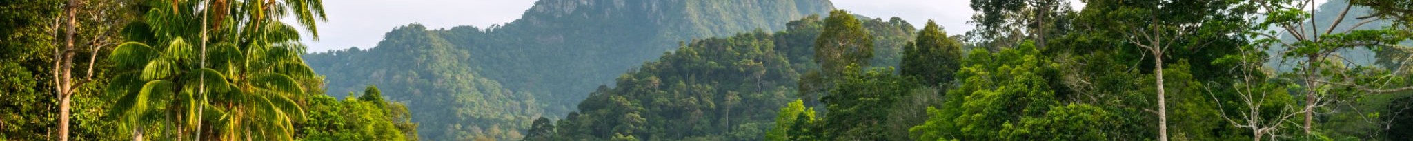 Tee Off in Tropical Paradise