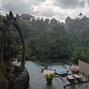 00vxhh17a8nu9m1ptjhk