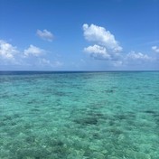 nm5zzvzrfthq2hdafomg