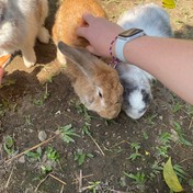 qy5a54z812xen0os8ywu