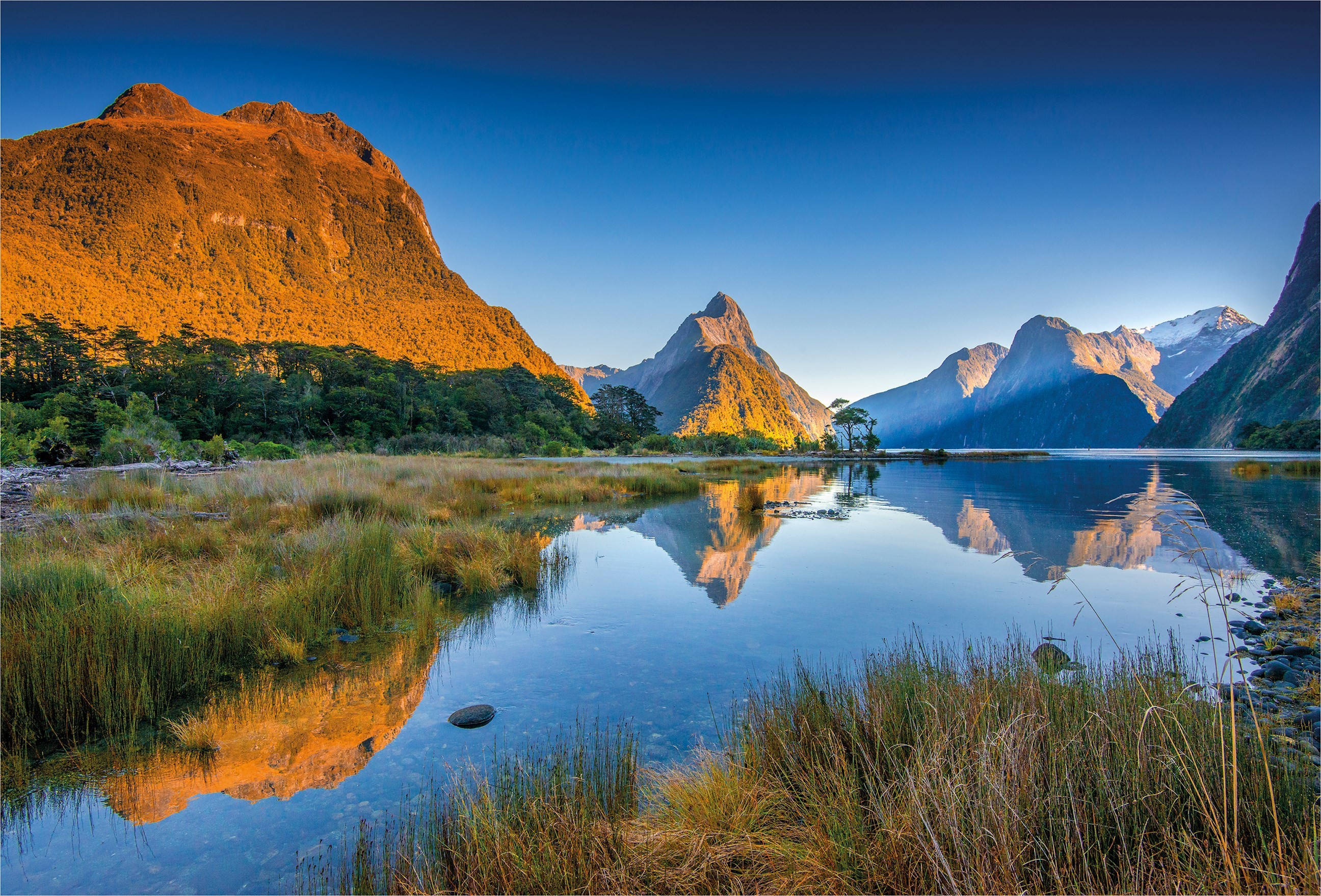 The Long White Cloud Luxury Tour