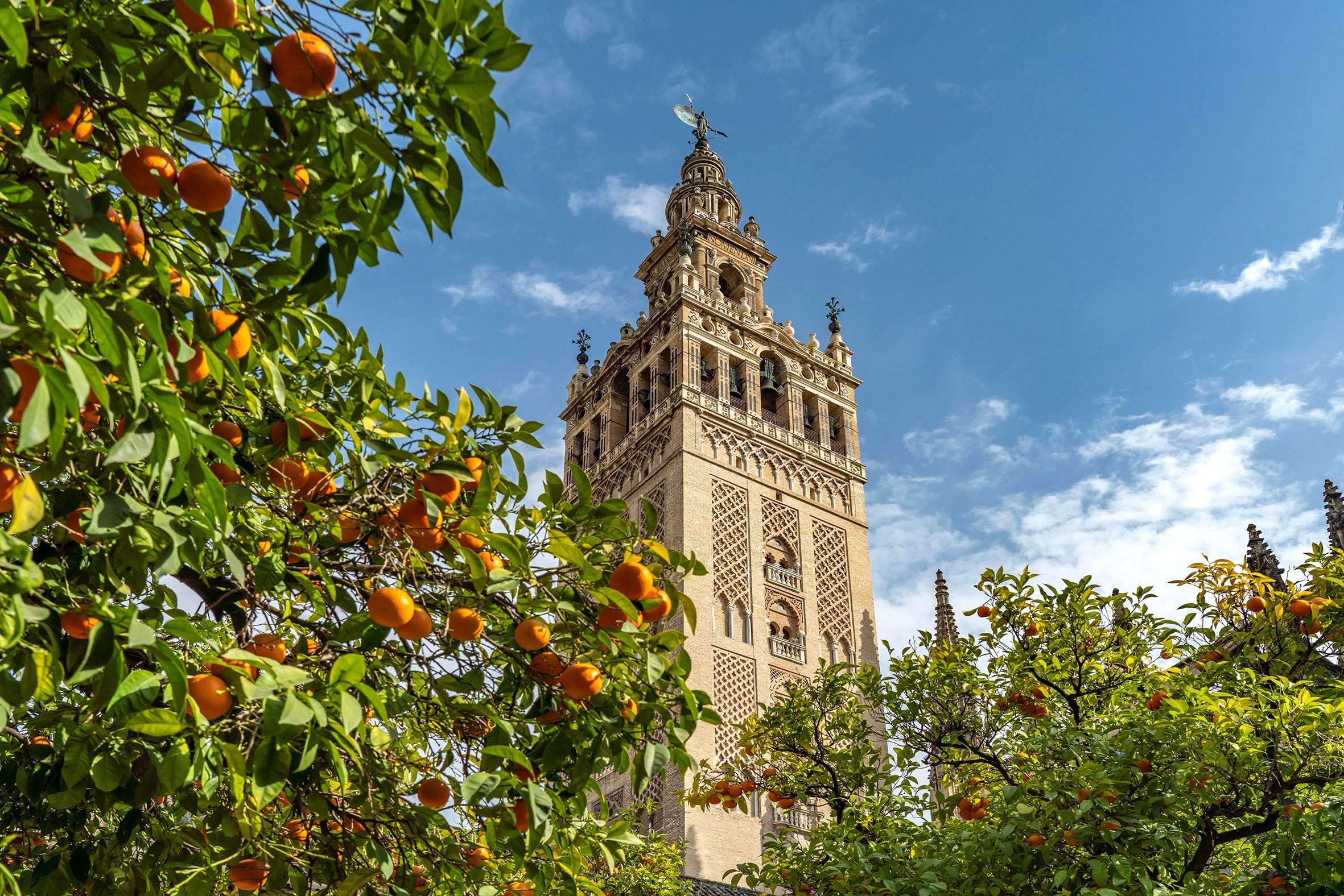 Highlights of Spain Guided Tour