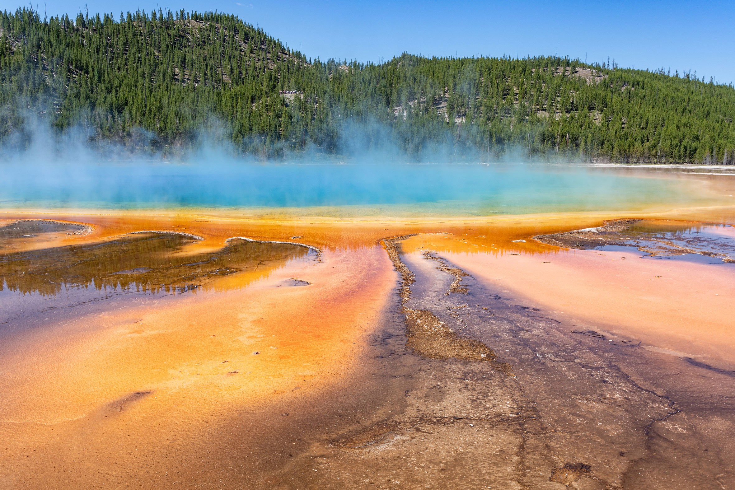 Hot Spring Yellowstone National Park Wyoming USA