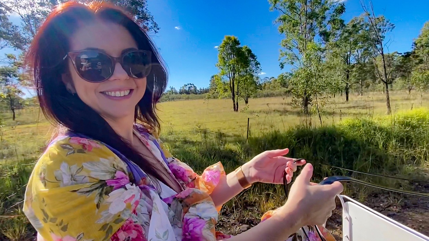 1 Hour Carriage Driving Experience