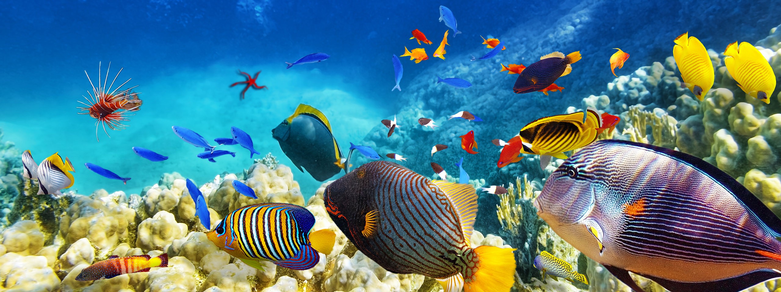 Cairns & the Great Barrier Reef | Luxury