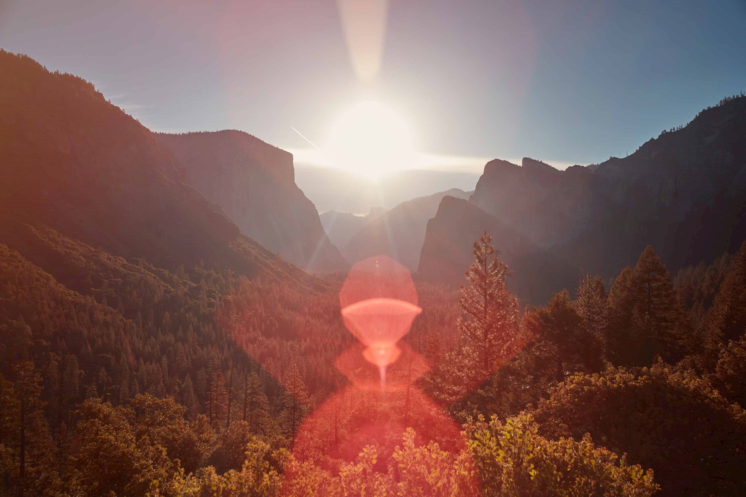 Californias Great National Parks Guided Tour