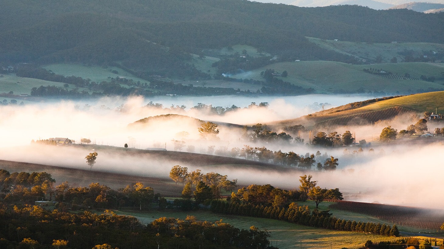 Mystery Picnic Date - Yass Valley