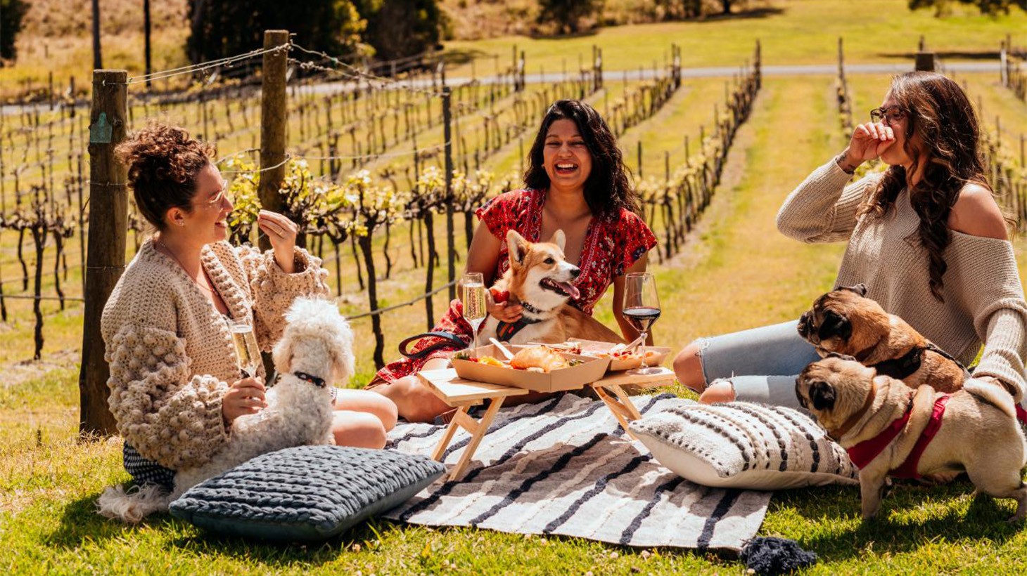 Picnic in the Vines