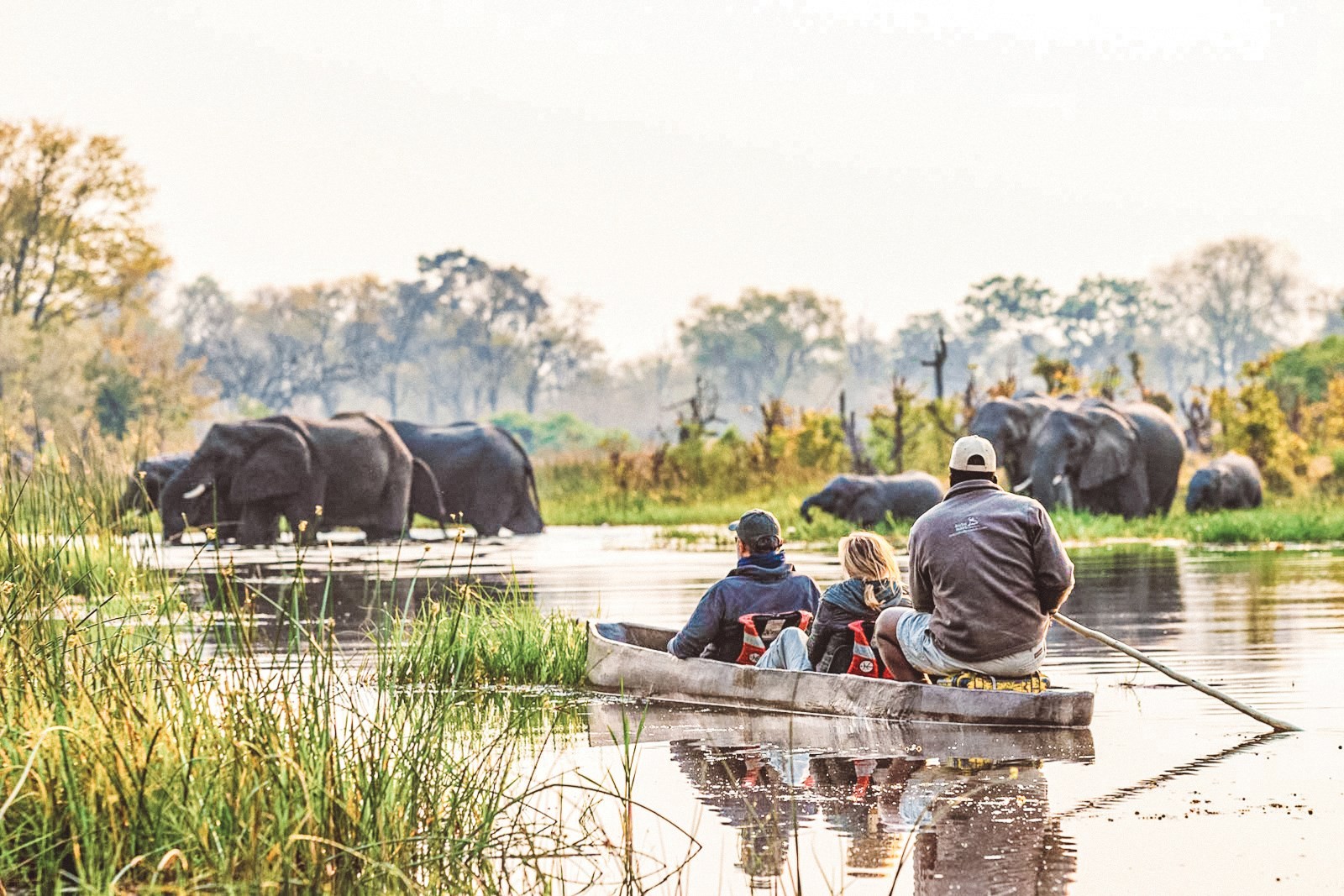 Southern Africa Safari Trip