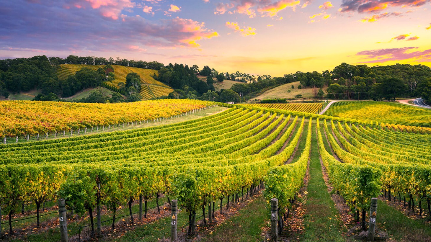 Mystery Picnic Date - Adelaide Hills