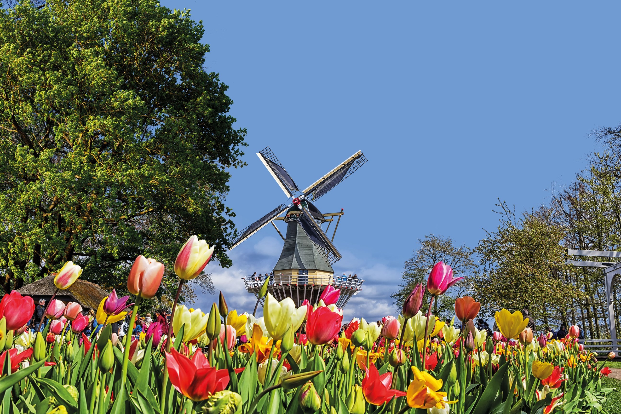 Country Roads of Belgium, Luxembourg and the Netherlands Guided Tour