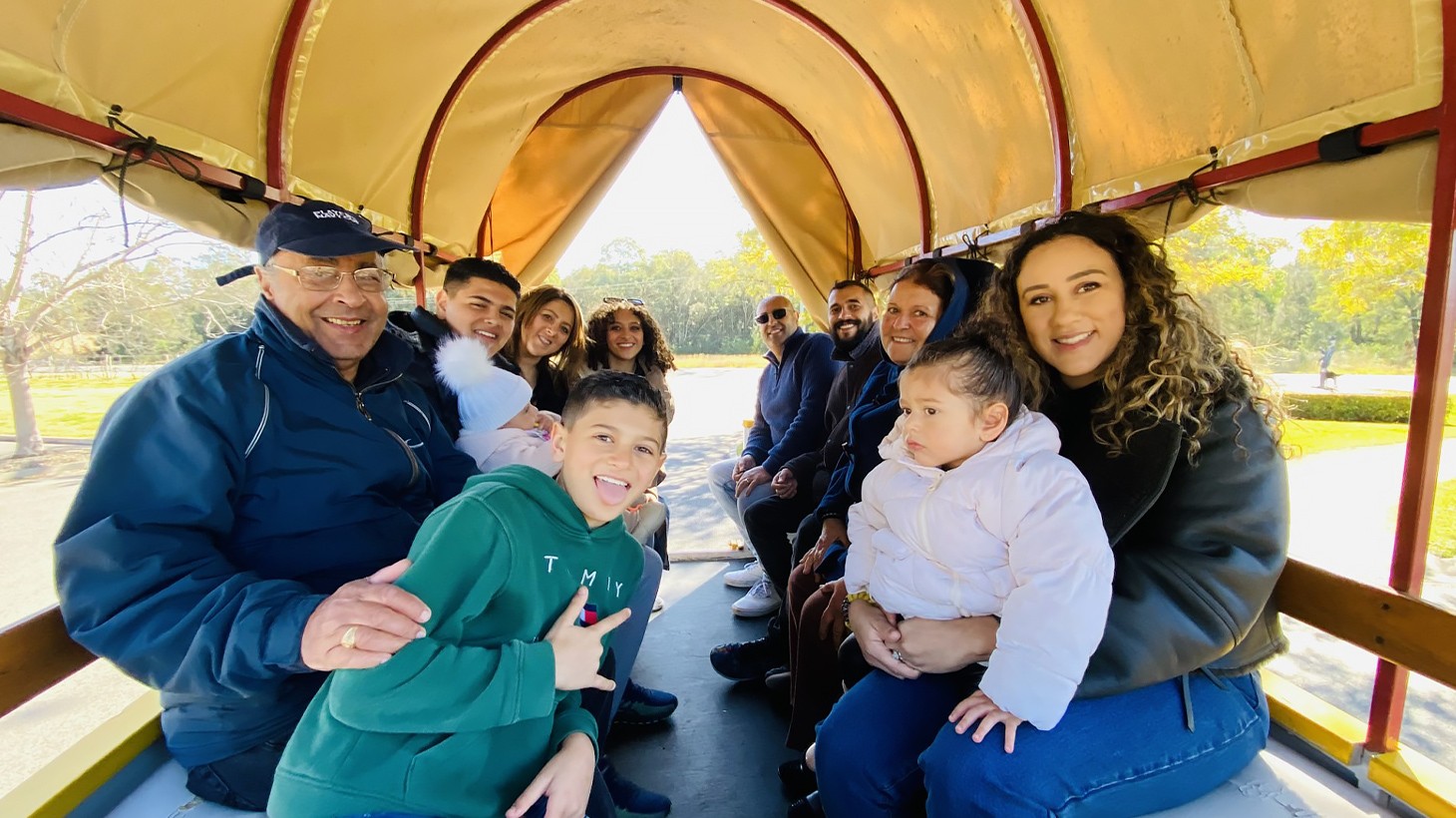 Family Carriage Ride