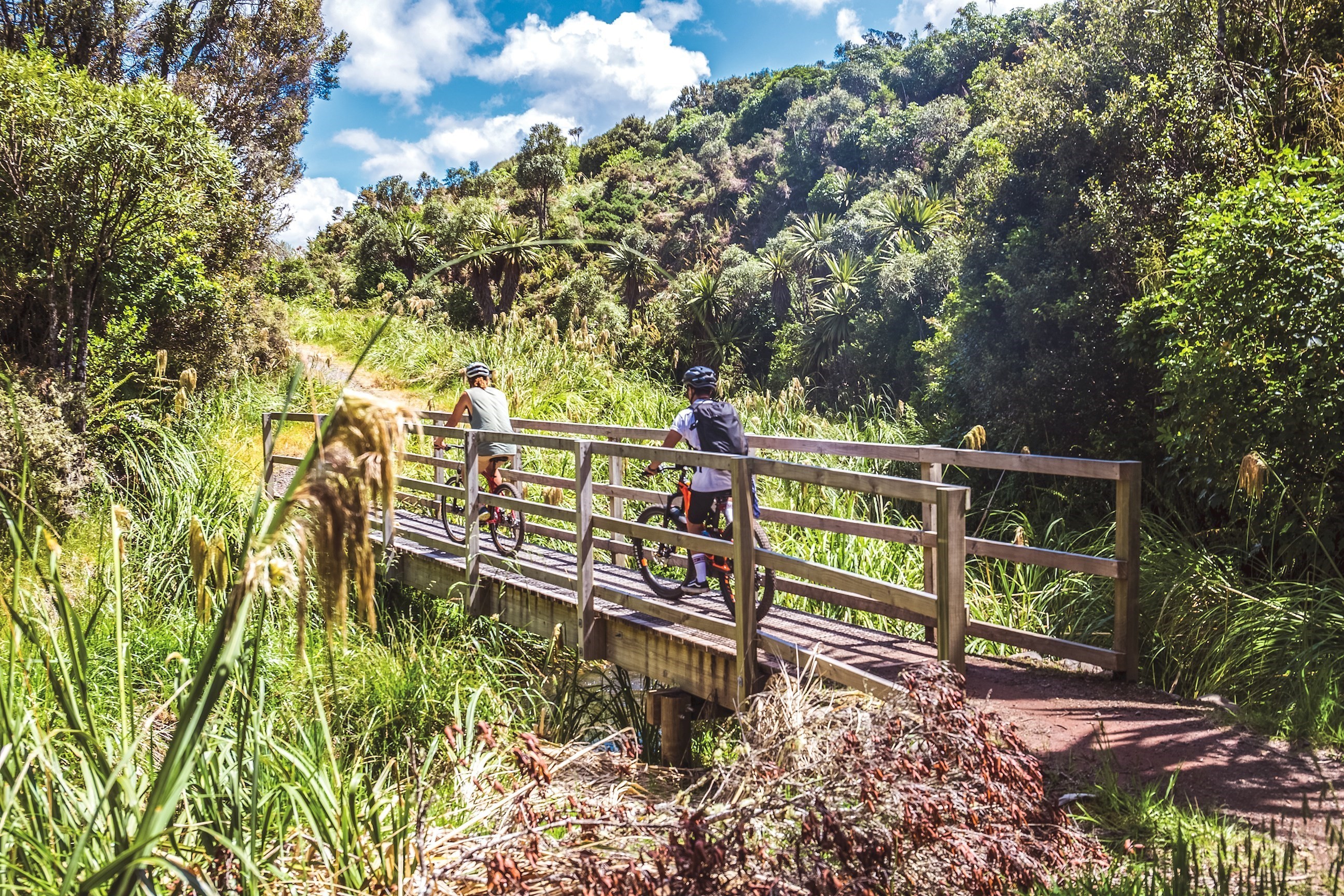 New Zealand: Northern Choice Northbound