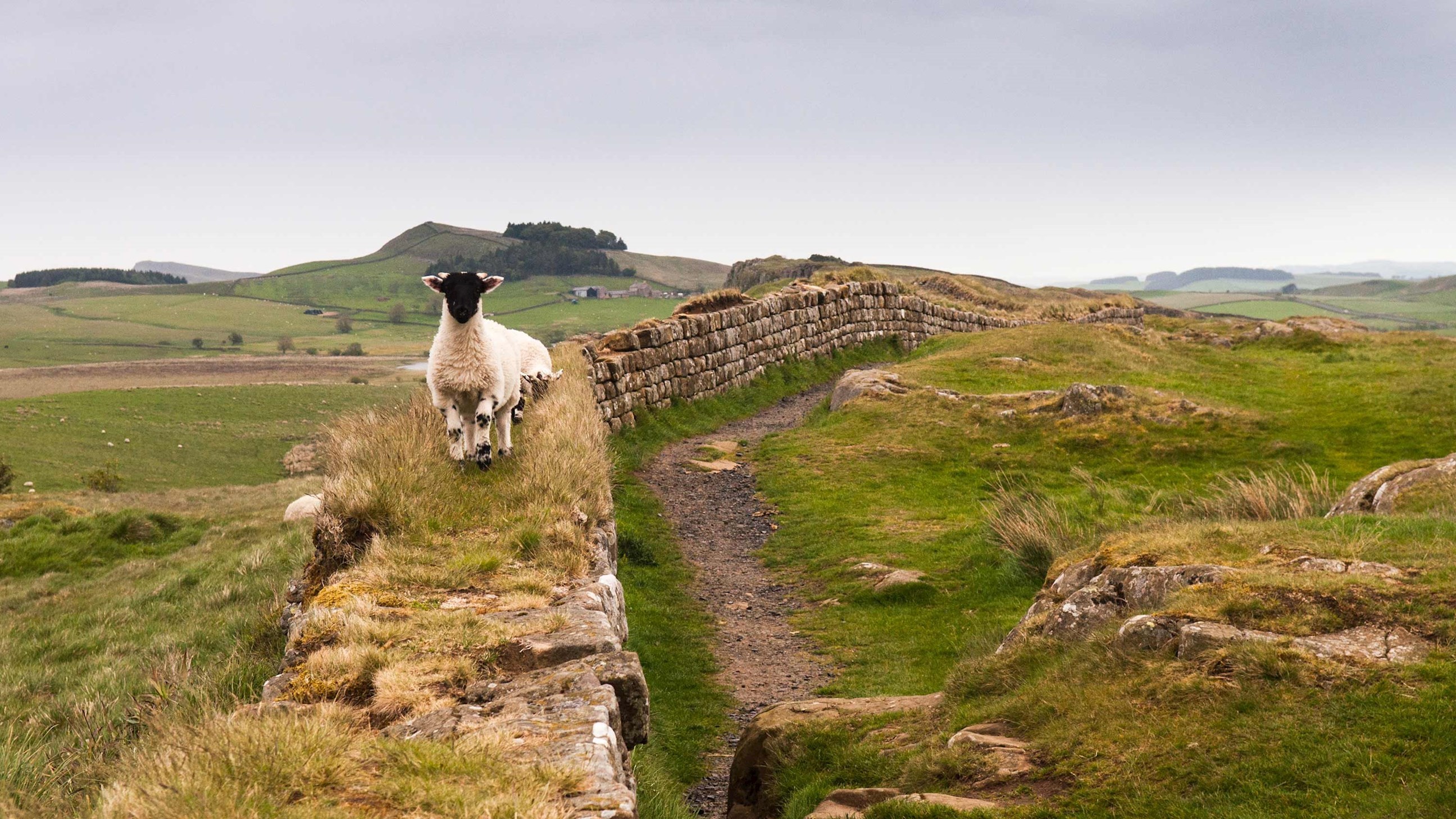 Real Britain Guided Tour