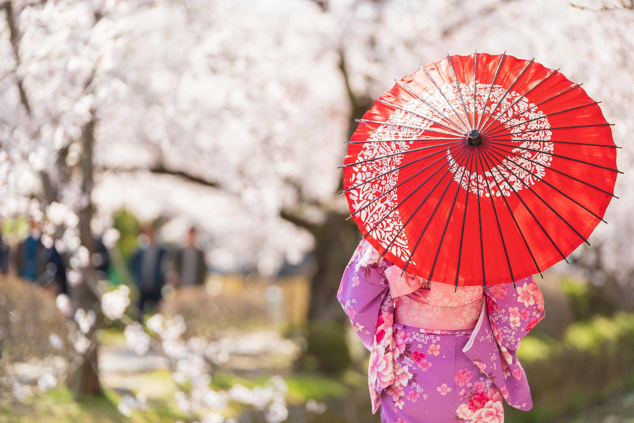 Classic Japan Guided Tour