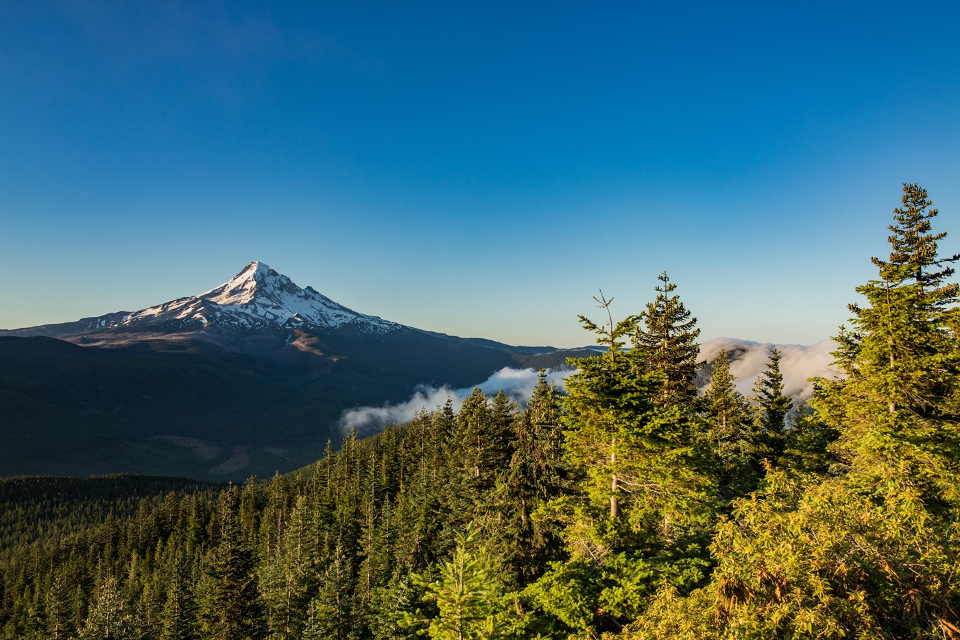 Scene from the flanks of Mt. Hood, Portland, Oregon, USA