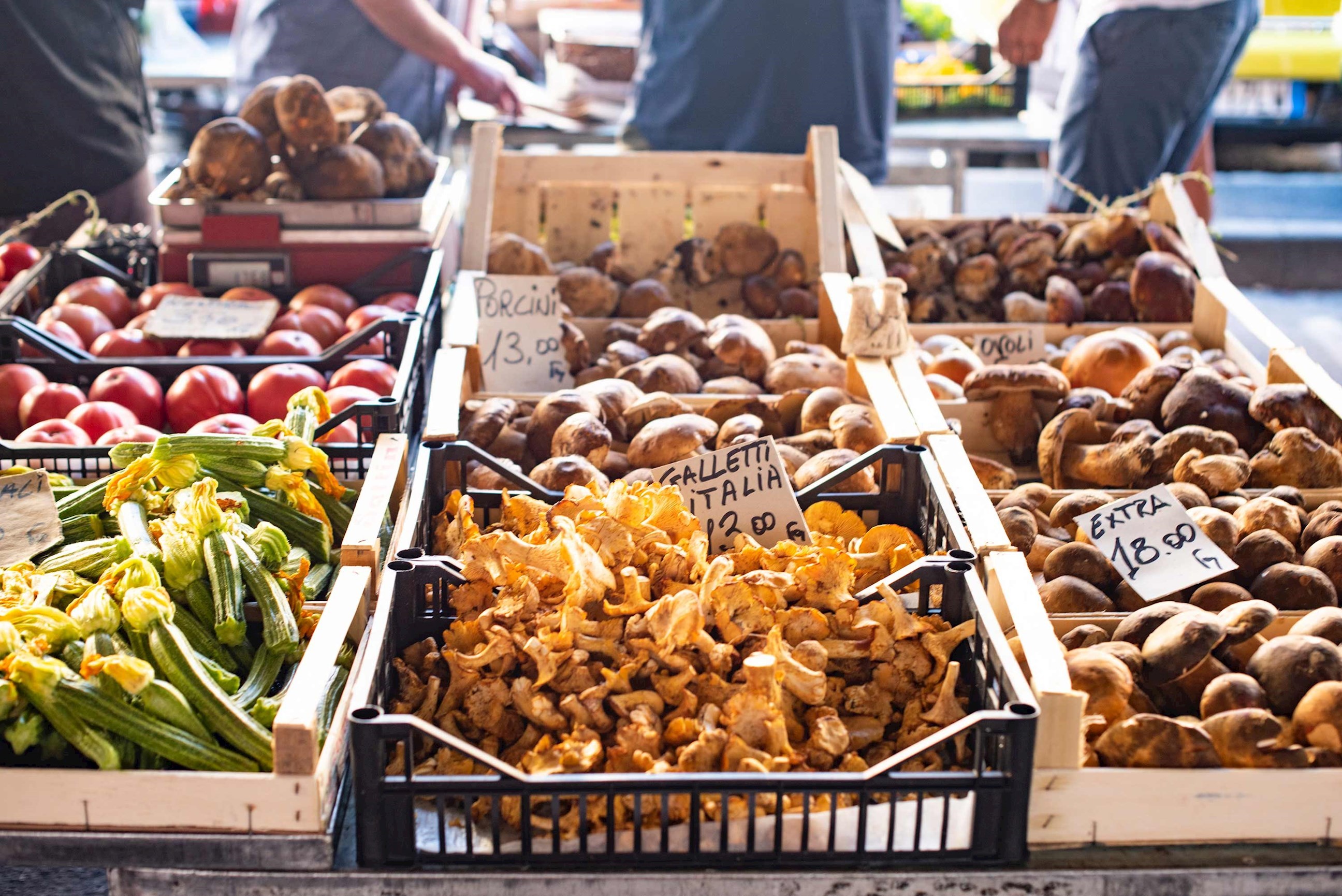 Contrasts of Italy Guided Tour