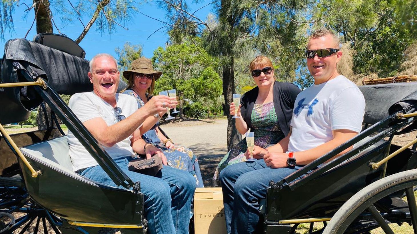 Exclusive Mini - 1 Hour Carriage Wine Tour