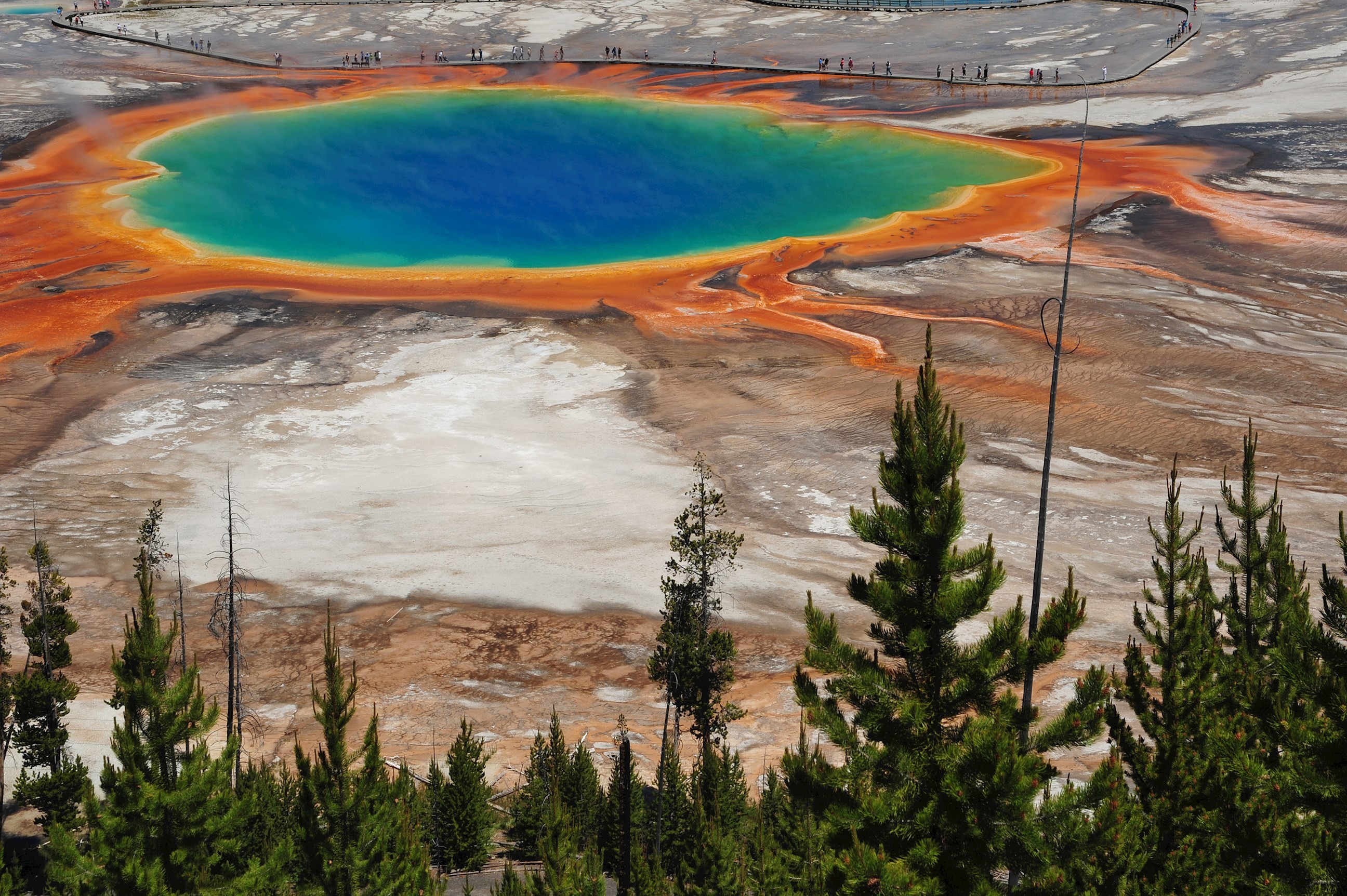 Yellowstone Guided Tour