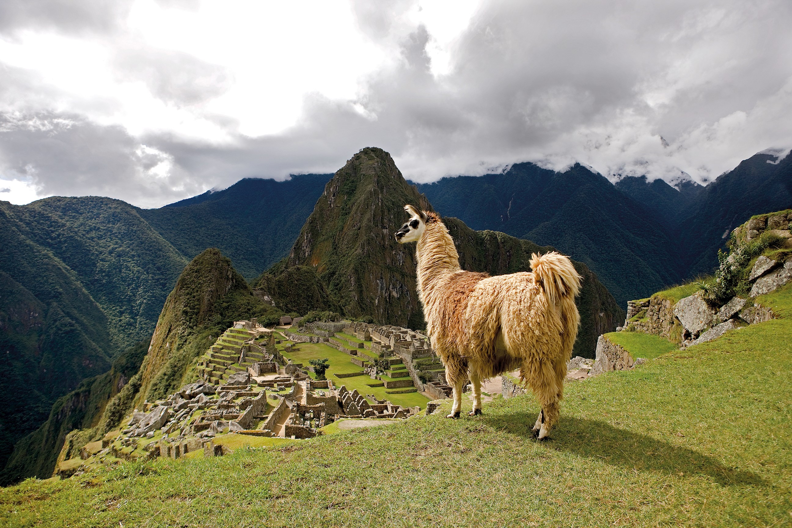 Peru with Machu Picchu and Nazca Lines Guided Tour
