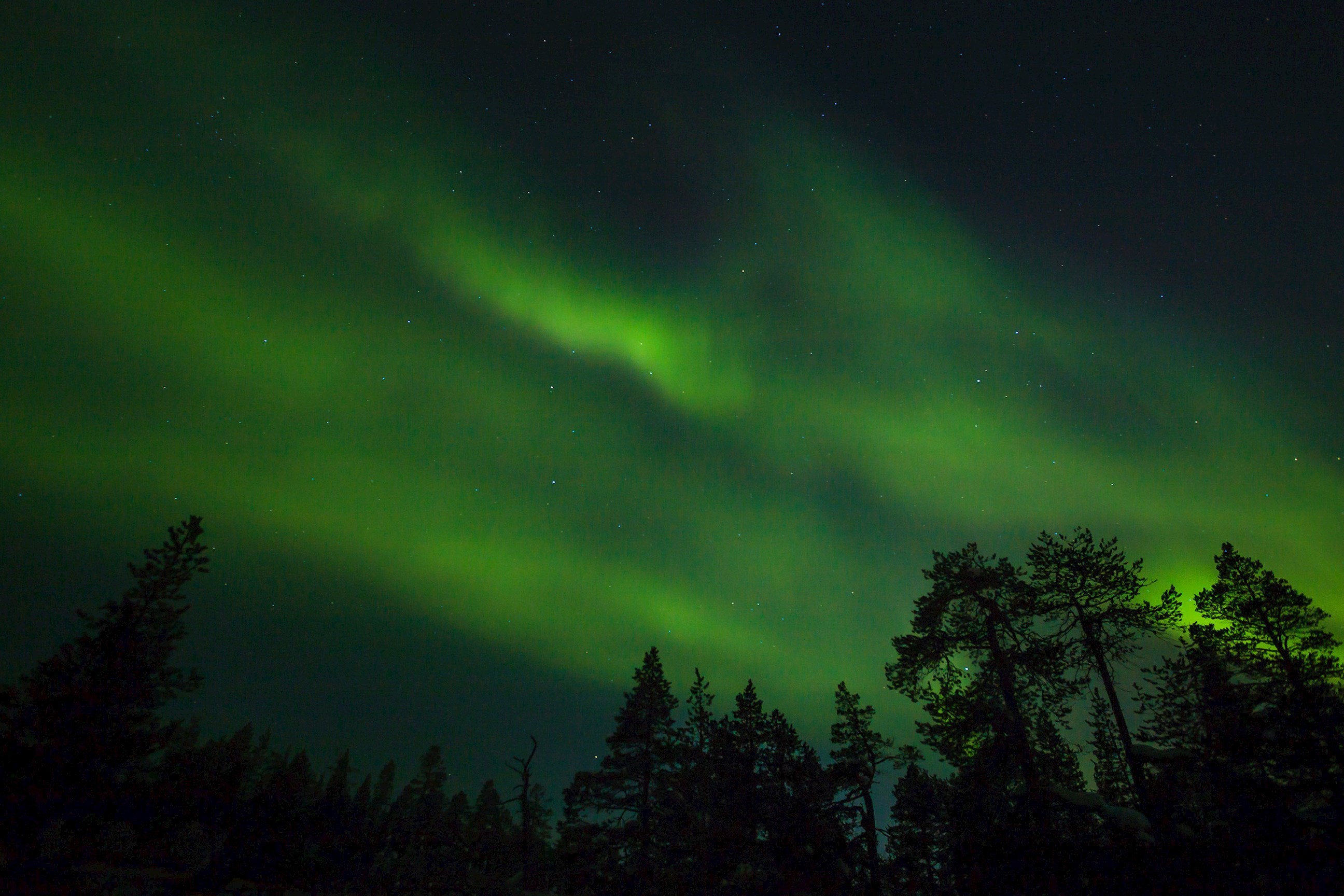 Scandinavian Northern Lights guided Tour