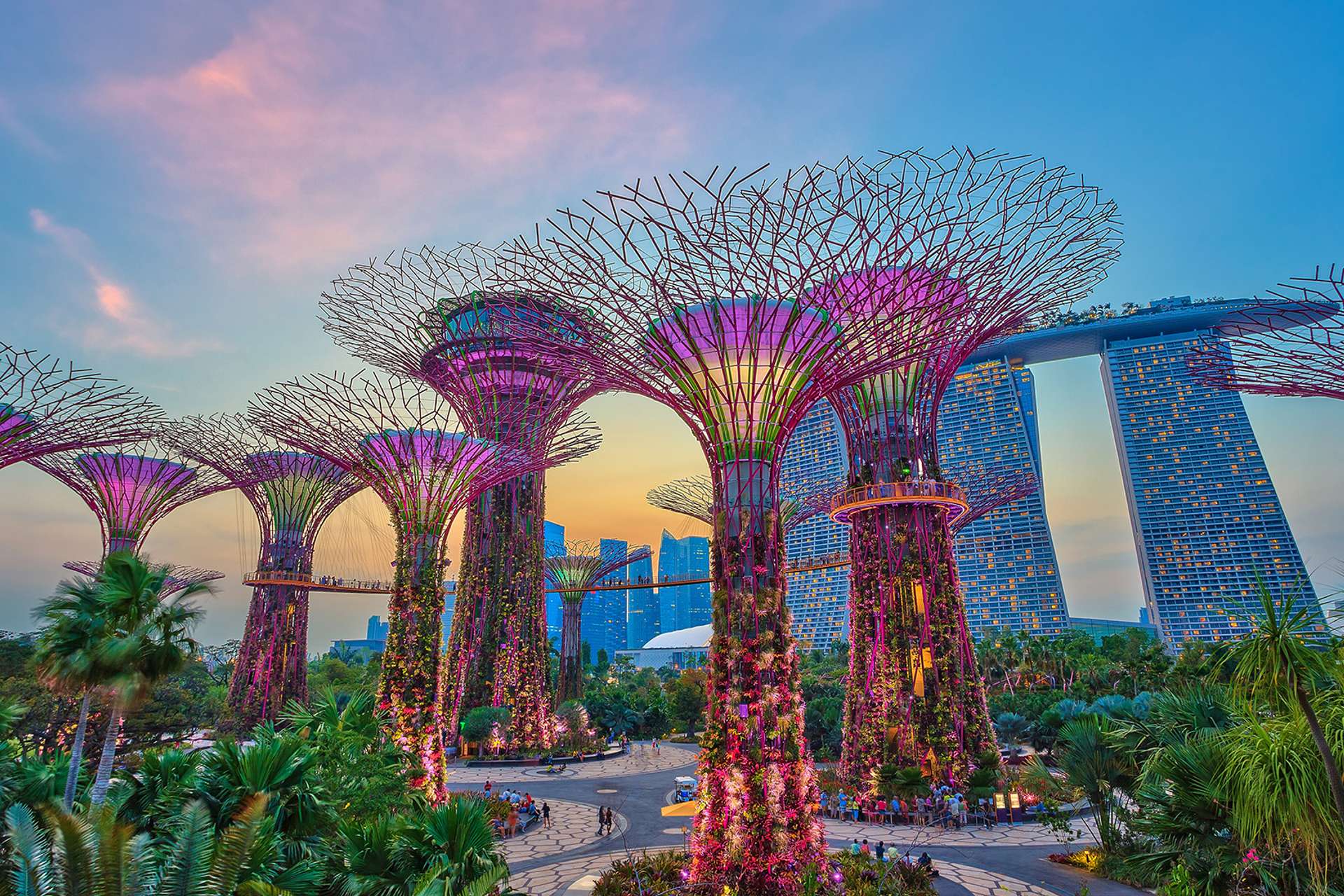 Exclusive hidden offer in Singapore