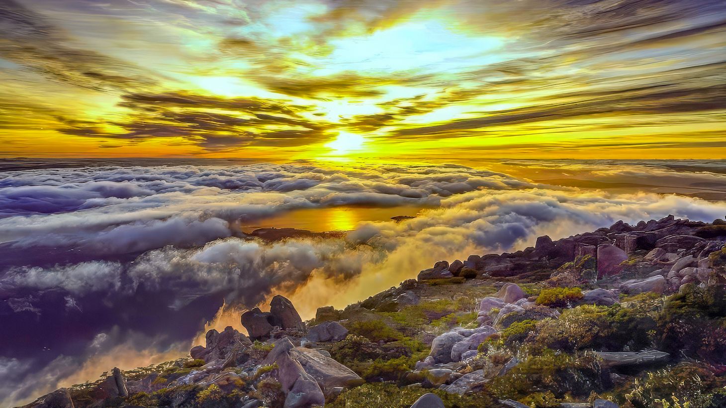 Coal Valley Wine, Gin & Cheese Tour with Winery Lunch & Richmond Village Visit 4