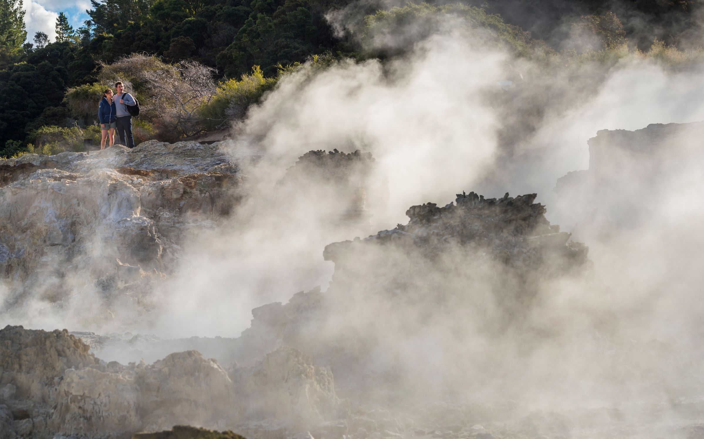 Hell’s Gate Geothermal Walk with Māori Carving, Mud Bath & Sulphur Spa Package 7