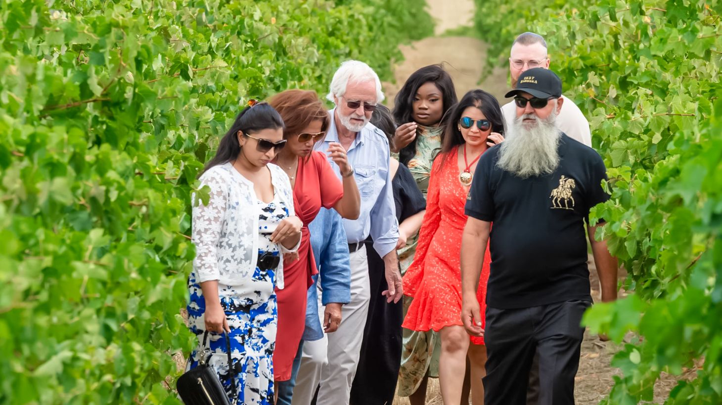 Four-Hour Guided Wine Tasting Experience with Vineyard Walk, Gourmet Pizza and more at 1837 Barossa