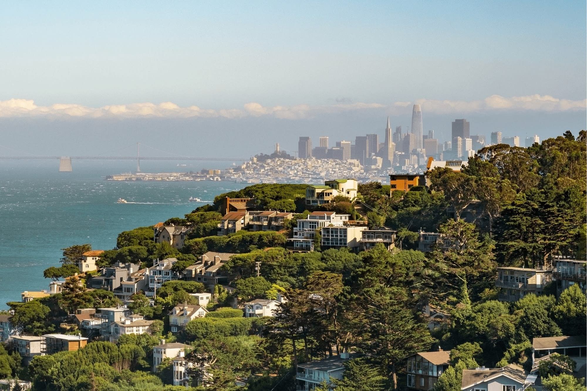 Golden Gate Bridge Bike Tour with Muir Woods & Sausalito 5