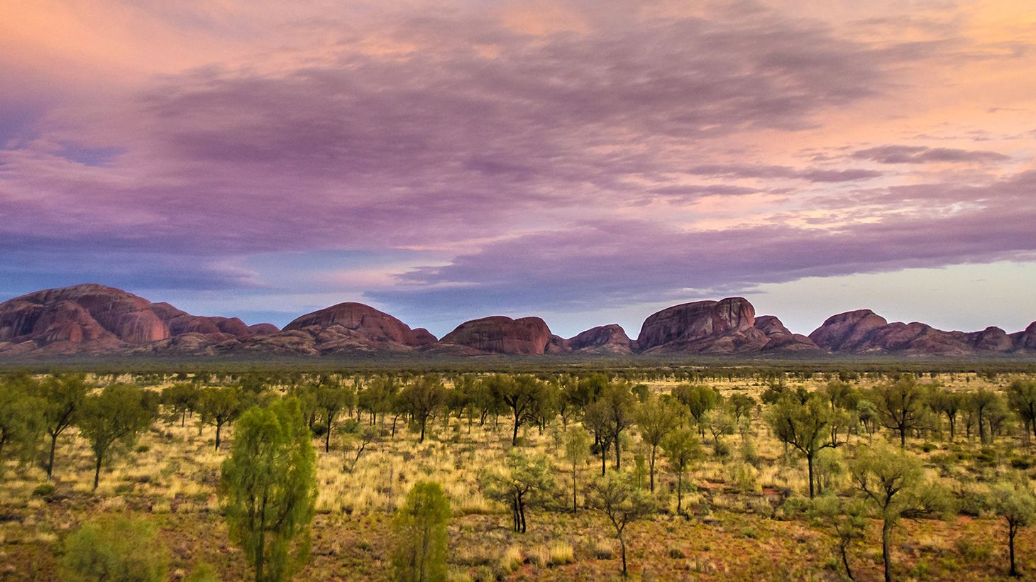 Half-Day Kata Tjuta Sunset Tour with Sparkling Wine & Transfers 4