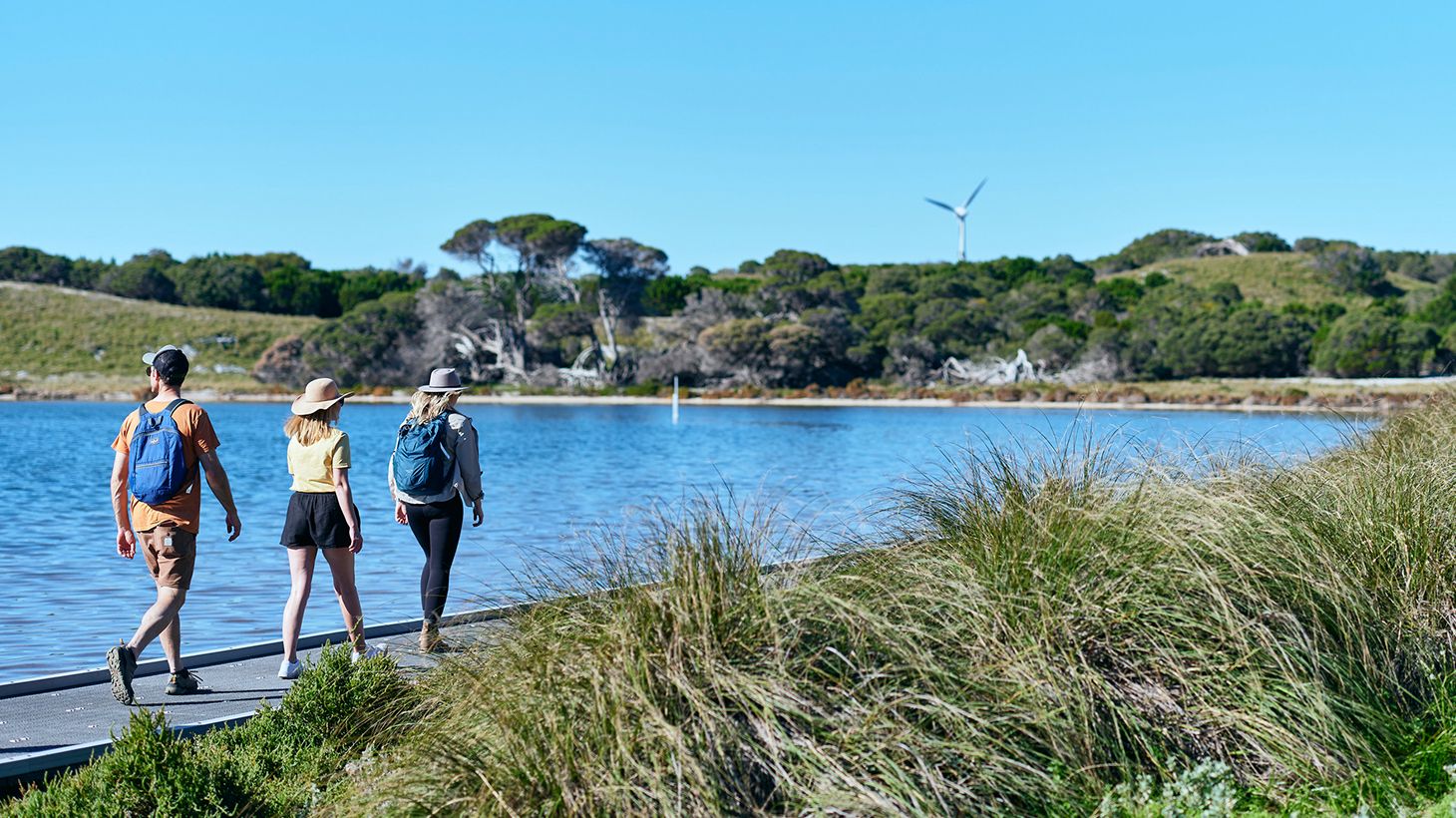 Explore the Wonders of Rottnest on a Two-Hour Eco Walking Tour 4