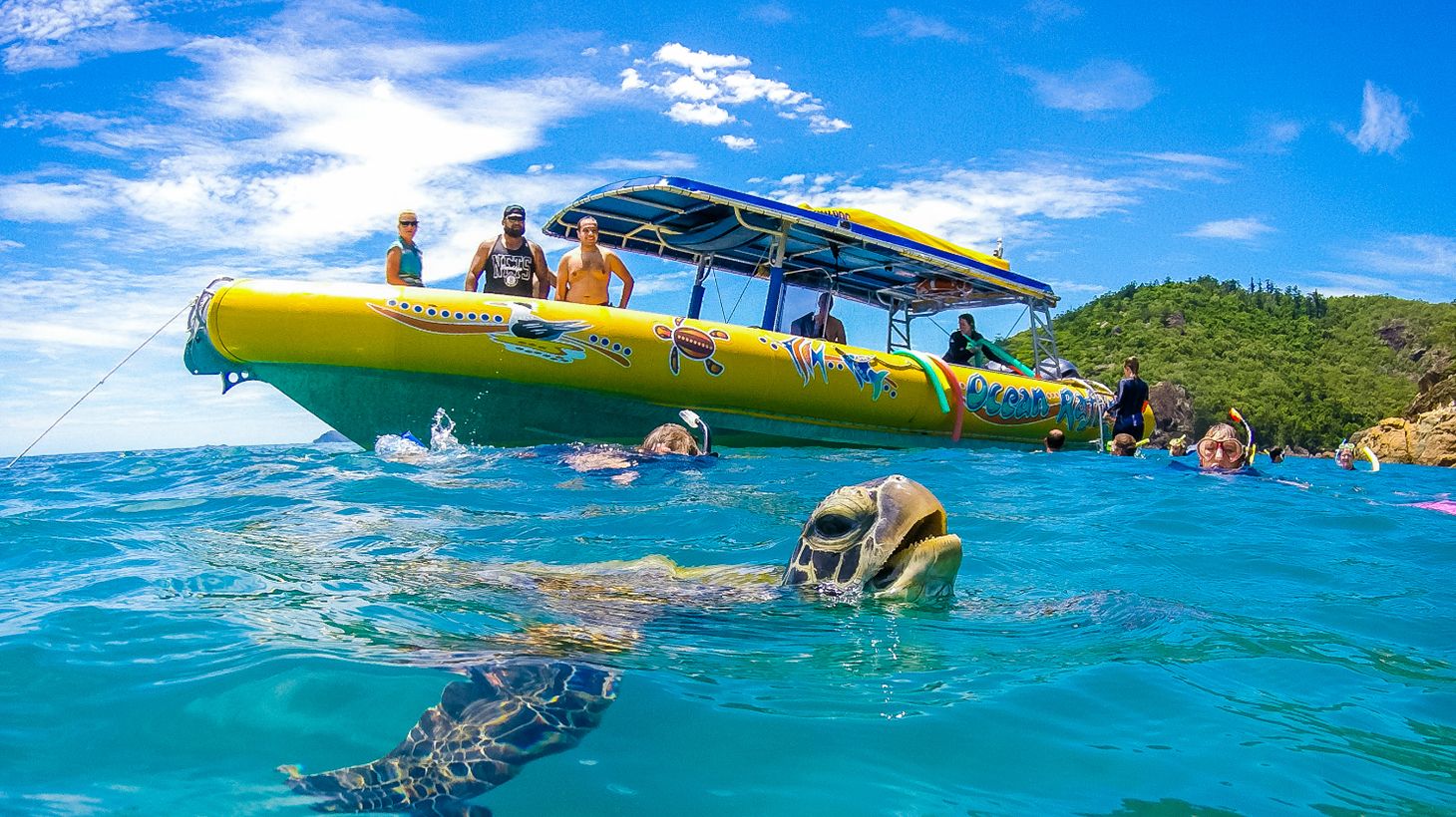 Exhilarating Full-Day Boat Tour from Daydream Island with Snorkelling, Beach Visits & Bushwalks 6