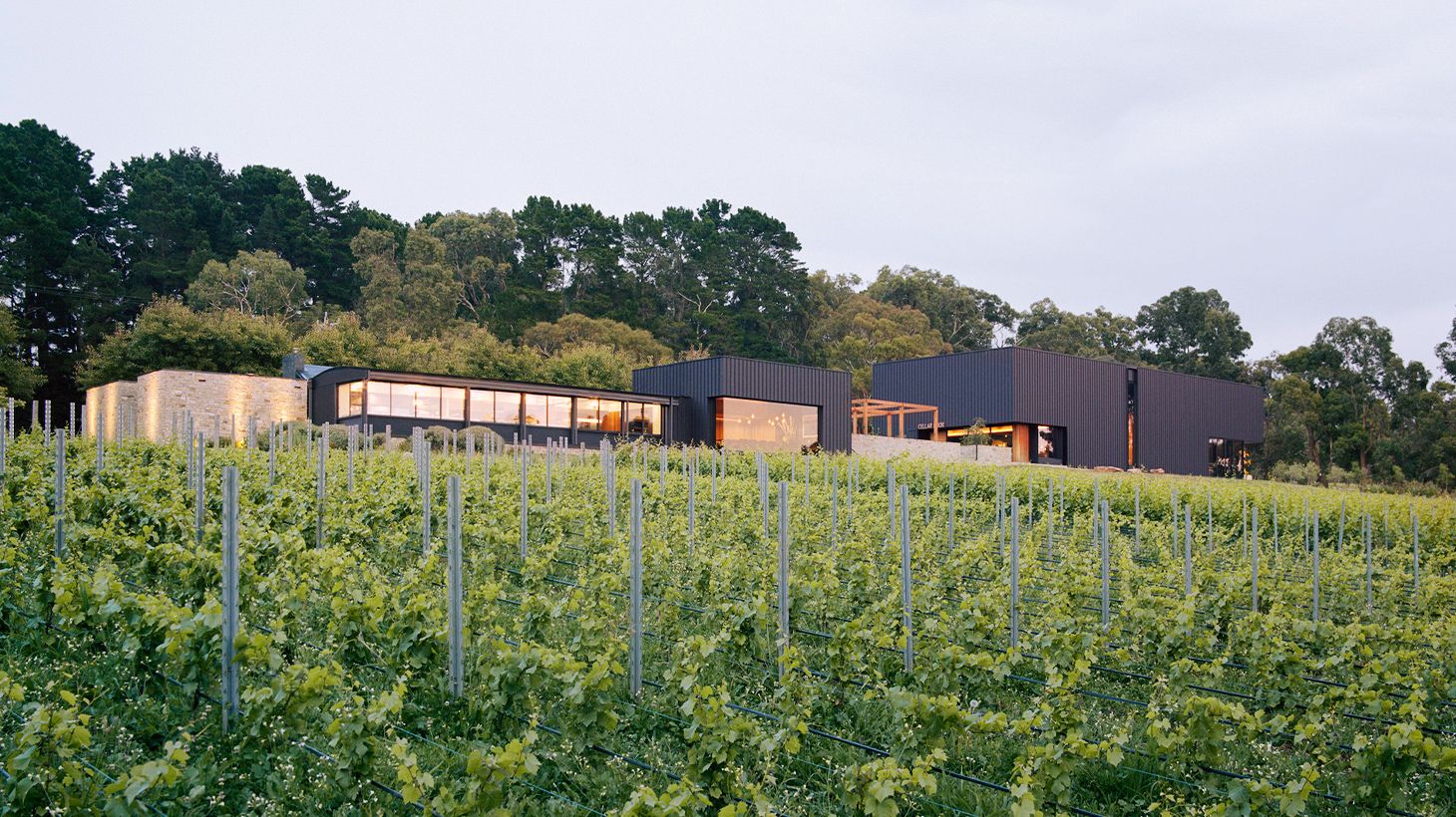 Intimate Terroir Wine Tasting Masterclass in Private Tasting Room 1