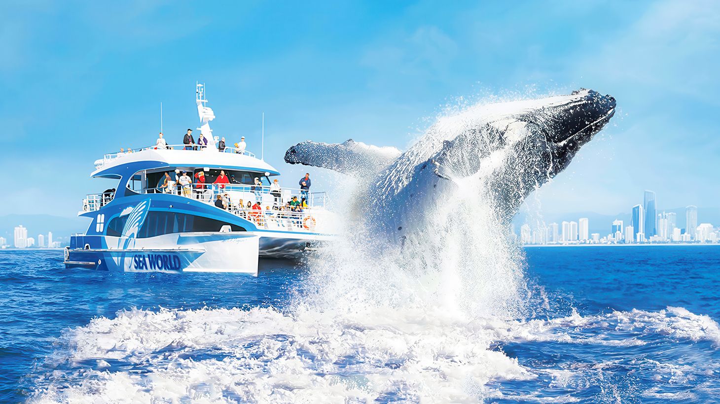 Save Up to A$49 with a Sea World Whale Watching Cruise & Admission to Sea World