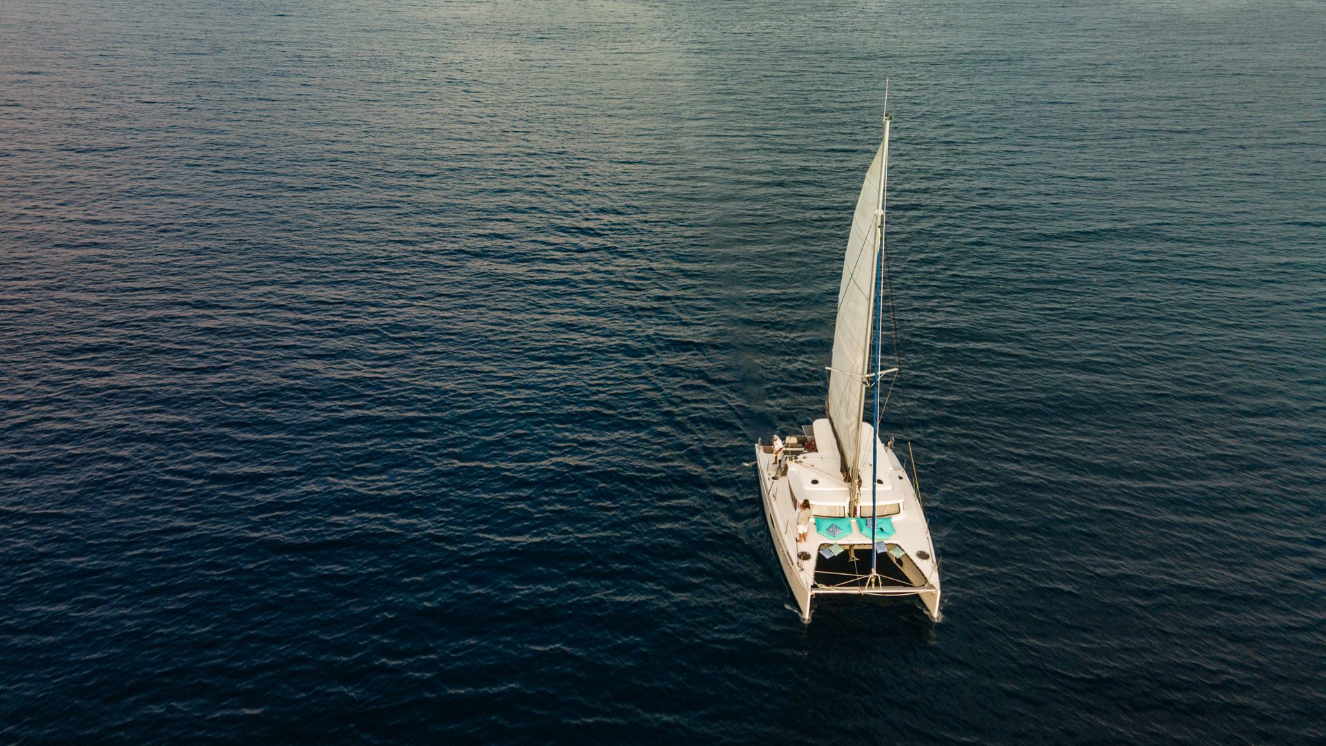 Two-Hour Luxury Catamaran Cruise with Desert Island Exploration from Ifuru Island in the Maldives  6