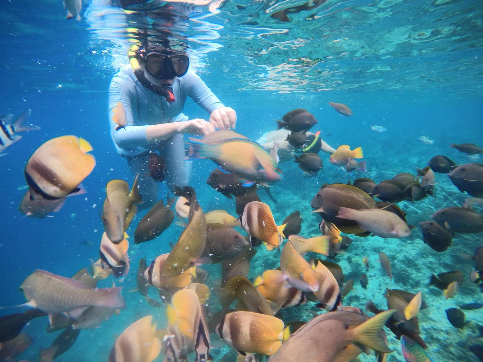Private Full-Day Customizable City Tour