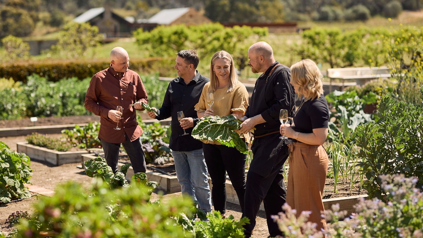 Expérience du jardin à l’assiette avec déjeuner de saison et coupe de champagne dans un domaine viticole noté par Halliday