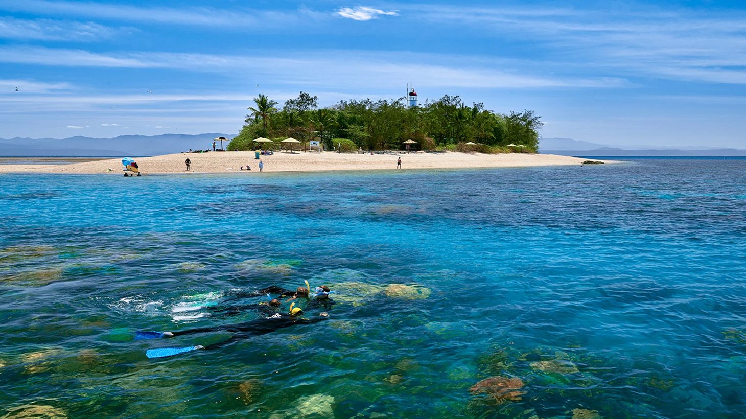 Great Barrier Reef Low Isle Cruise with Snorkelling Equipment, Tropical Lunch & Glass of Sparkling 7