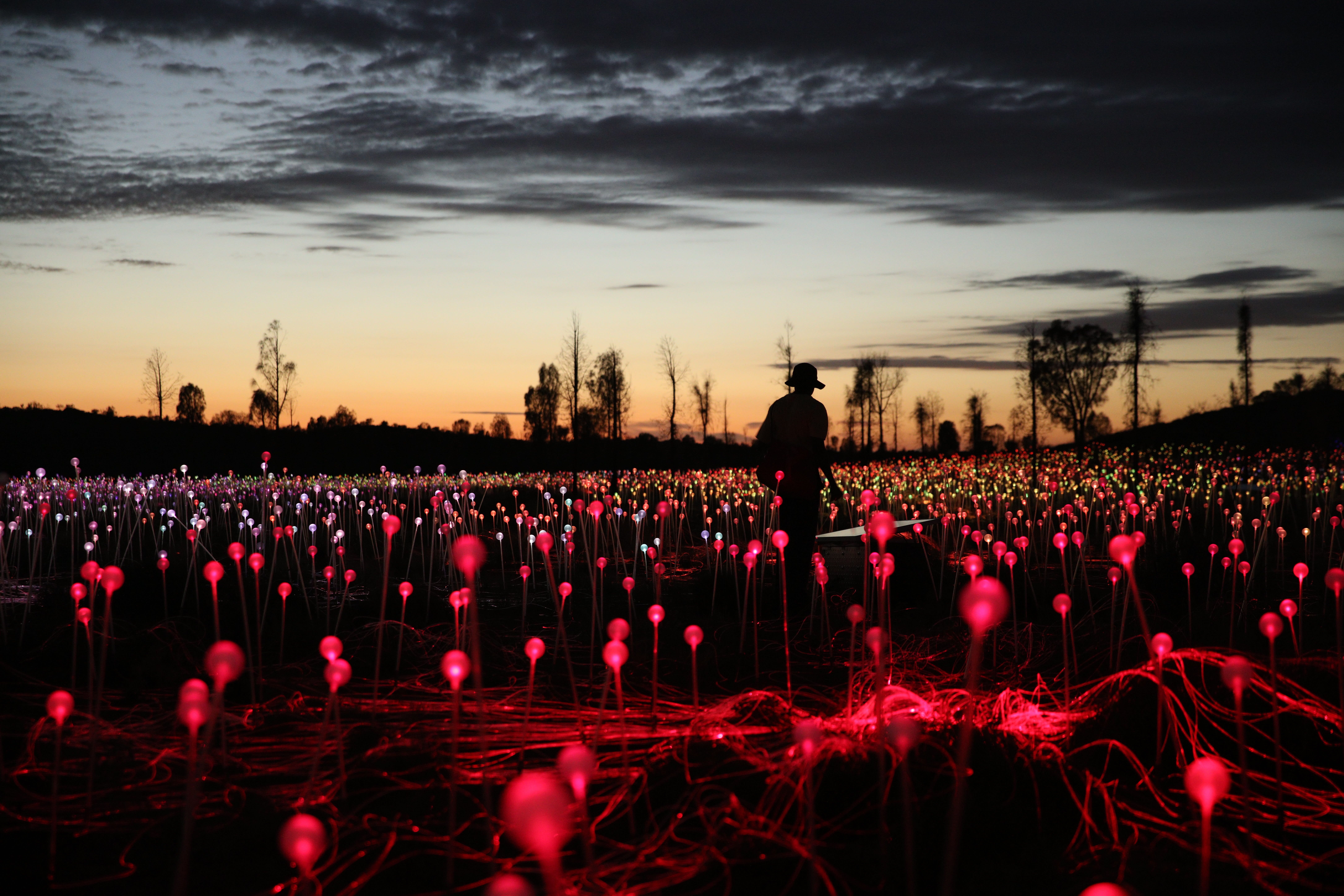 Field of Light – Sonnenaufgangstour 3