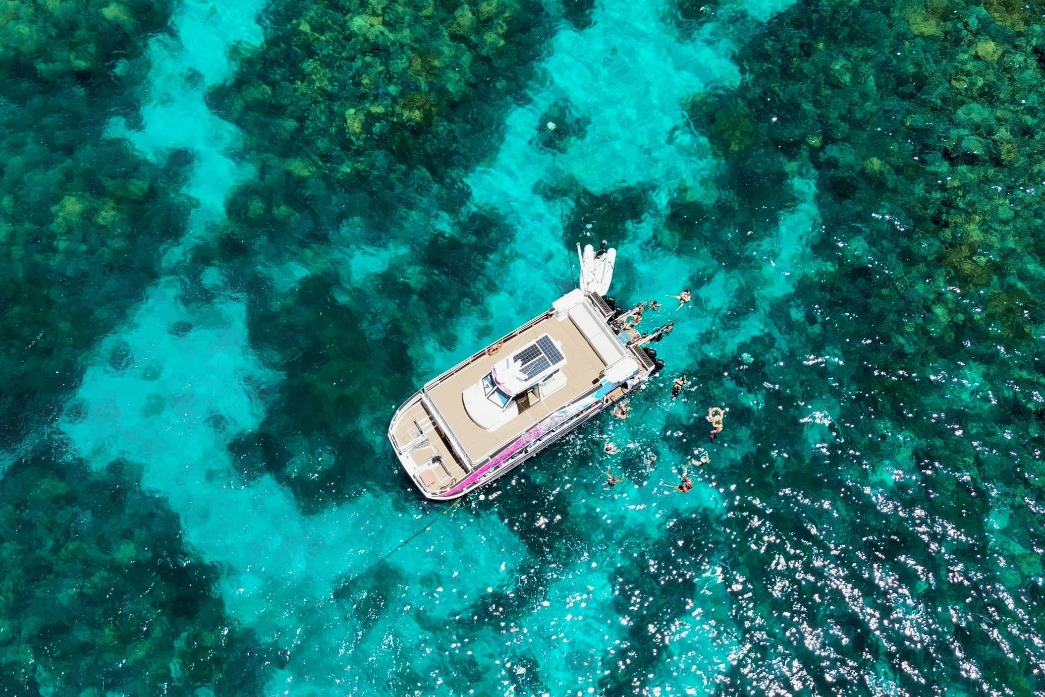 Pure Snorkelling Half Day Great Barrier Reef Tour