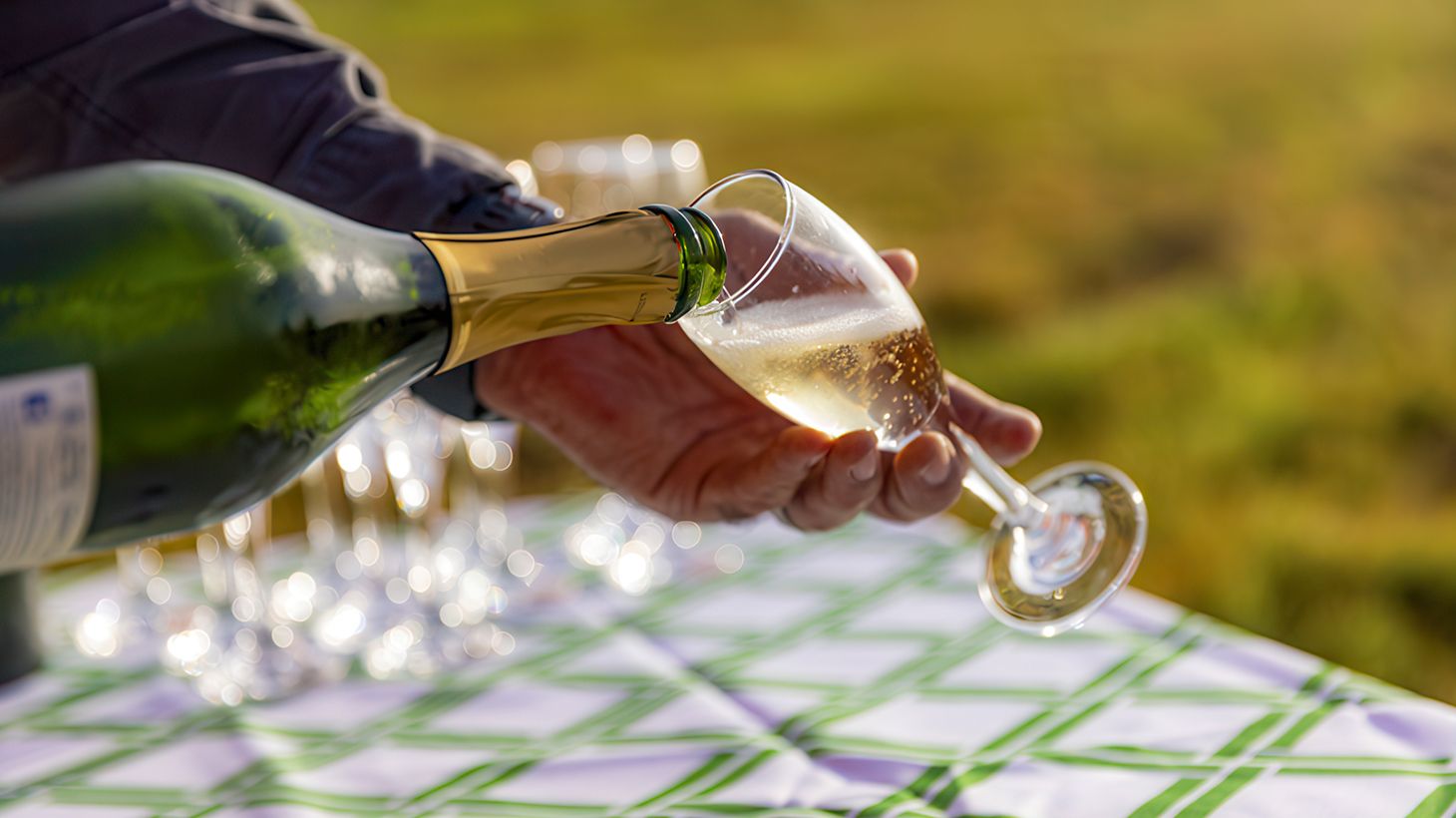 Six-Hour Gold Coast Ballooning Adventure with Glass of Sparkling Wine & Return Transfers 4